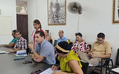 Evaluación de la estrategia de internacionalización y de idiomas en la Universidad Moa