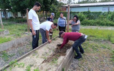 Granja Urbana y UMoa en función de Proyecto de desarrollo local en el Organopónico de Cupey