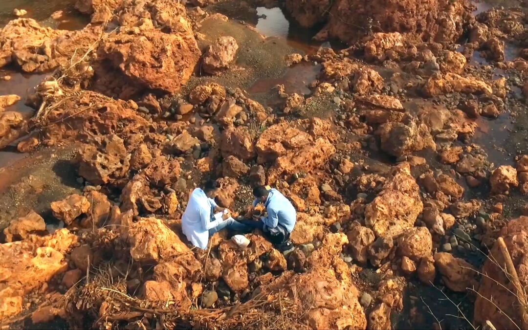 Día del trabajador Geólogo-Minero