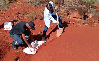 UMoa y CEDINIQ impulsan potencialidades locales para la producción sostenible de materiales de construcción